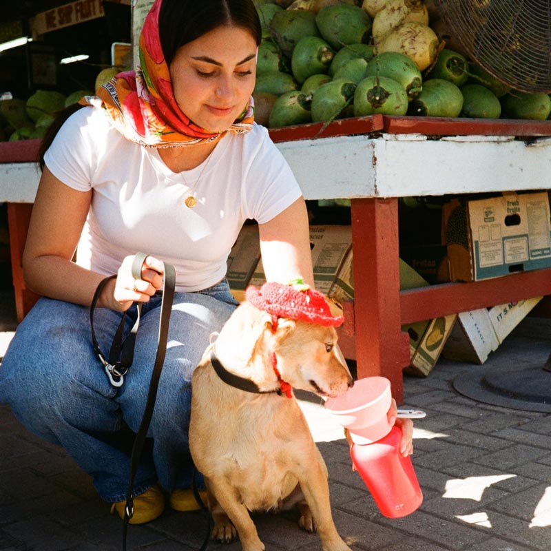 Limited Edition | Flip Dog Travel Water Bottle (20oz)