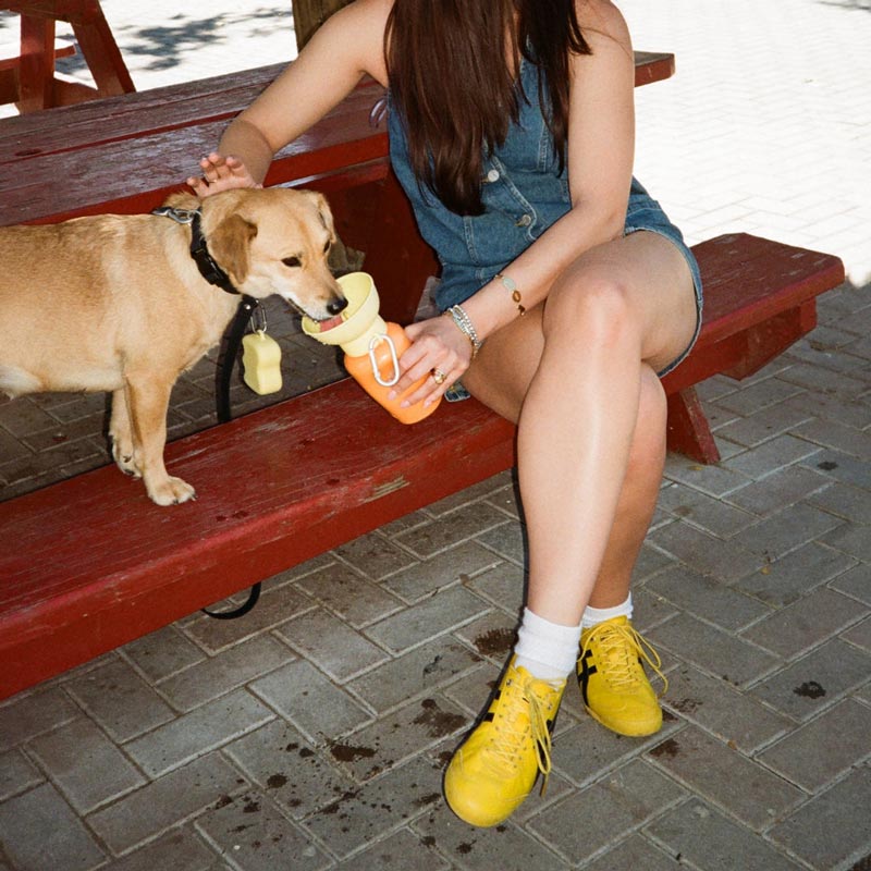 Limited Edition | Flip Dog Travel Water Bottle (20oz)