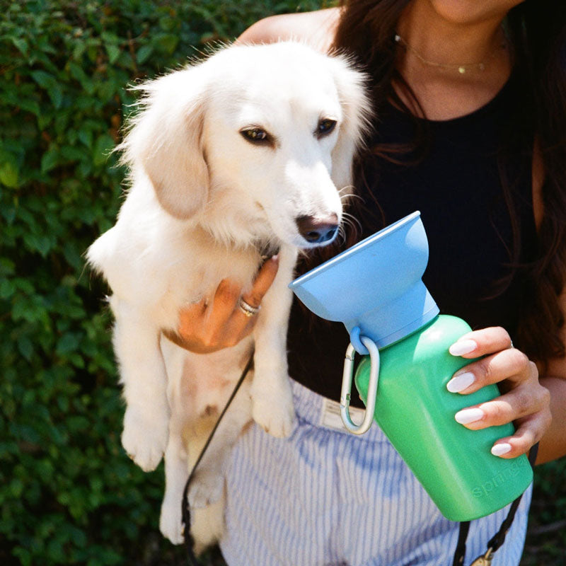 Limited Edition | Flip Dog Travel Water Bottle (20oz)