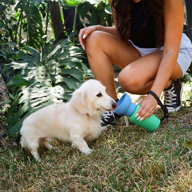 Limited Edition | Flip Dog Travel Water Bottle (20oz)