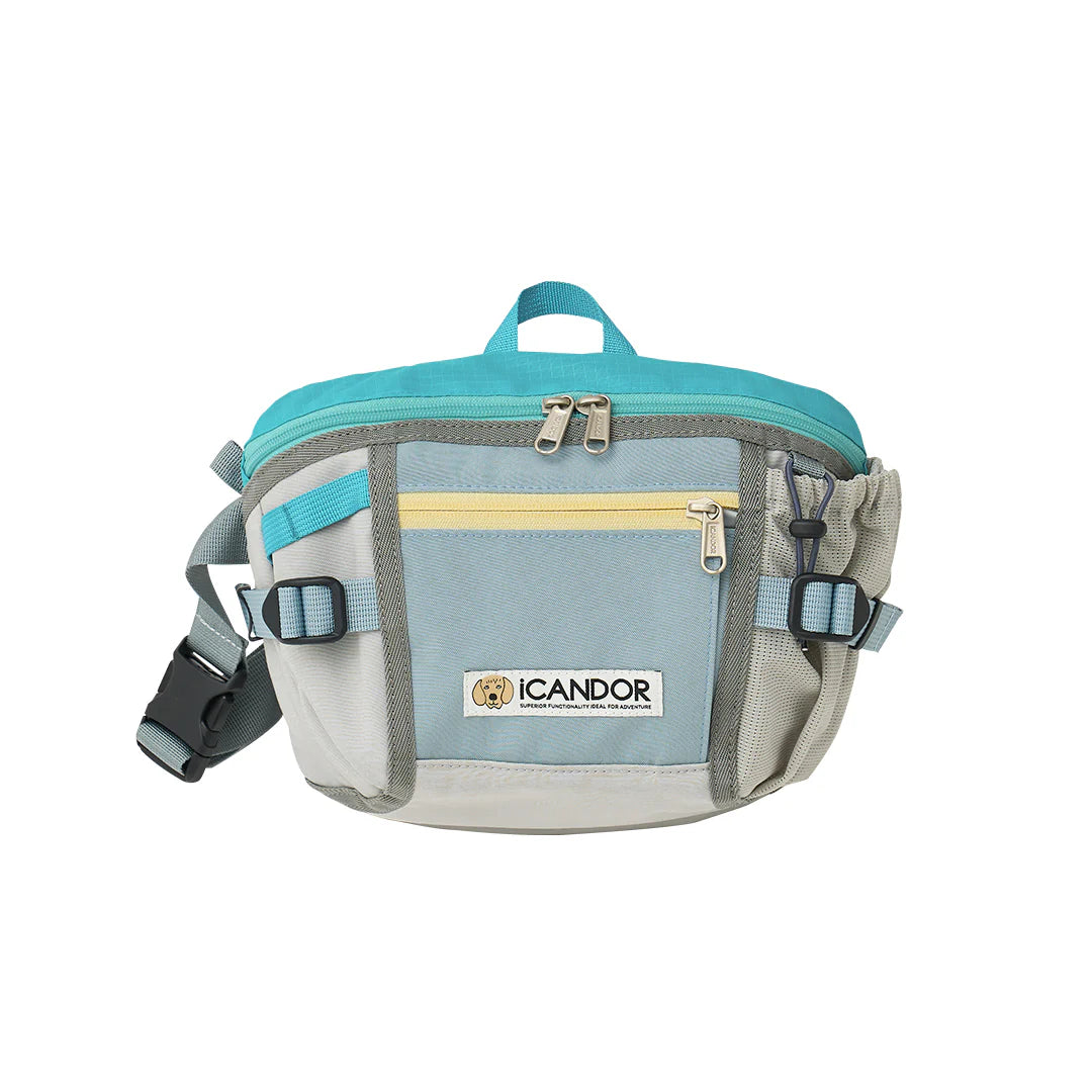 Urban Explorer Walking Bag | Ice Gray