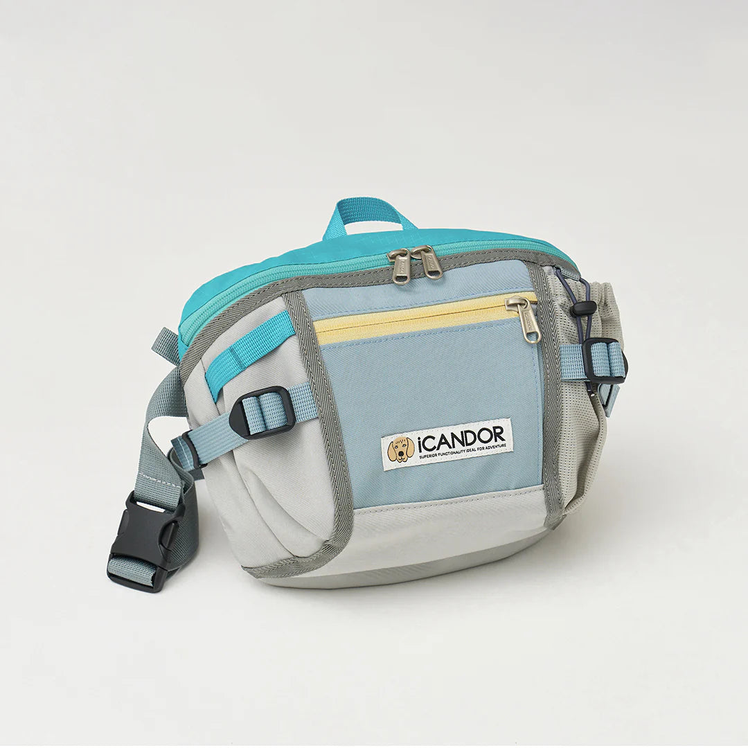 Urban Explorer Walking Bag | Ice Gray