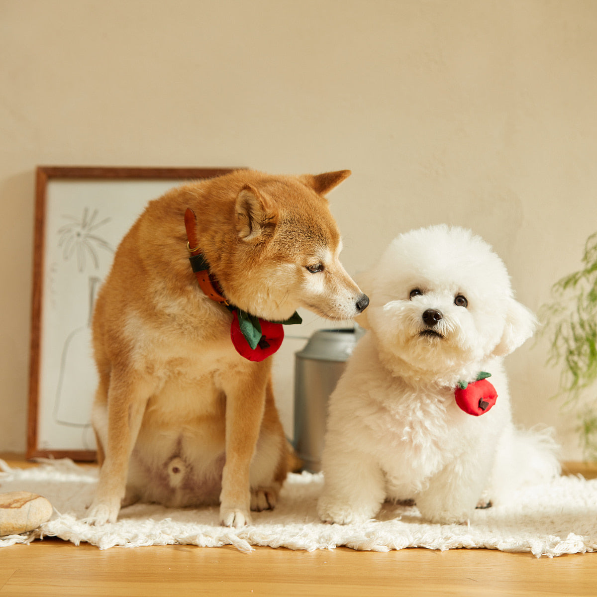 HIKOINU Apple & King Apple Pet Collar Clip - product photo 4