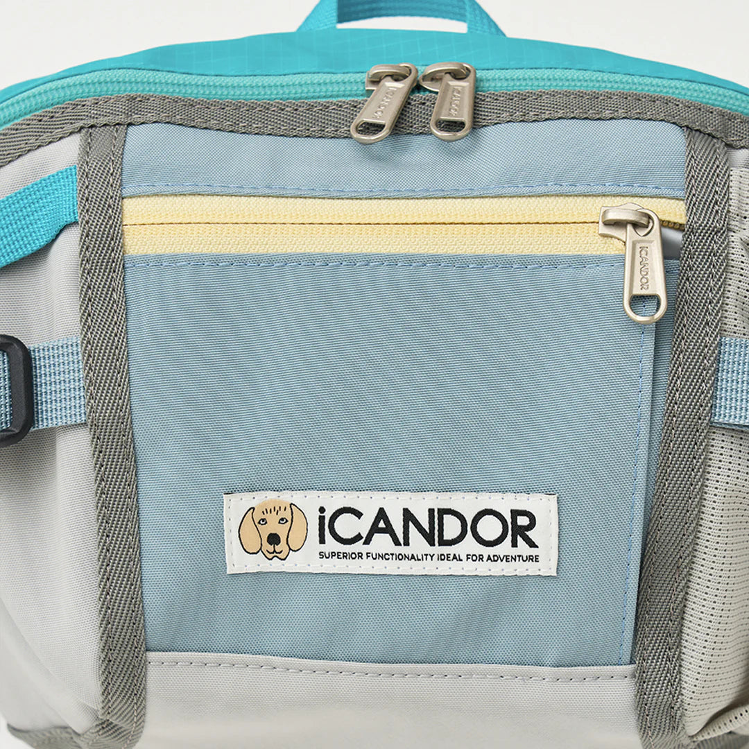 Urban Explorer Walking Bag | Ice Gray