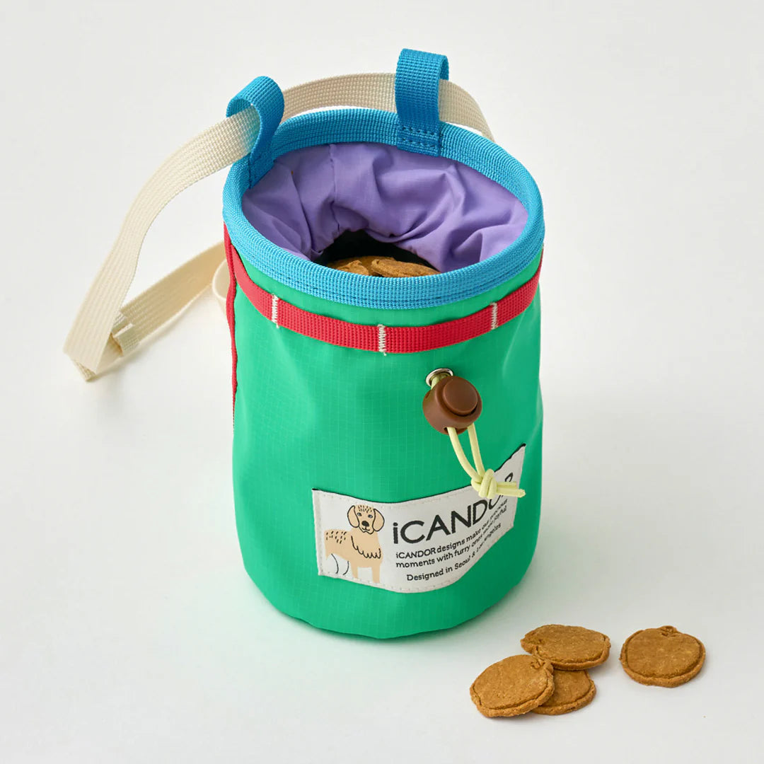 Munchie Minder Dog Treat Bag | Cool Green
