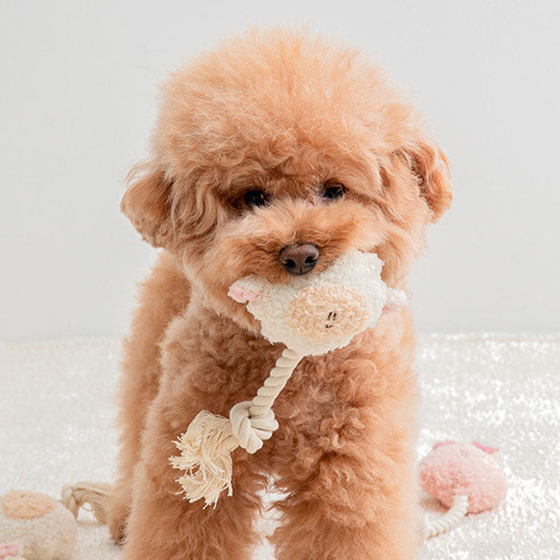 BonBon Green Furry Friends Rope Tug Toy (3 Designs)