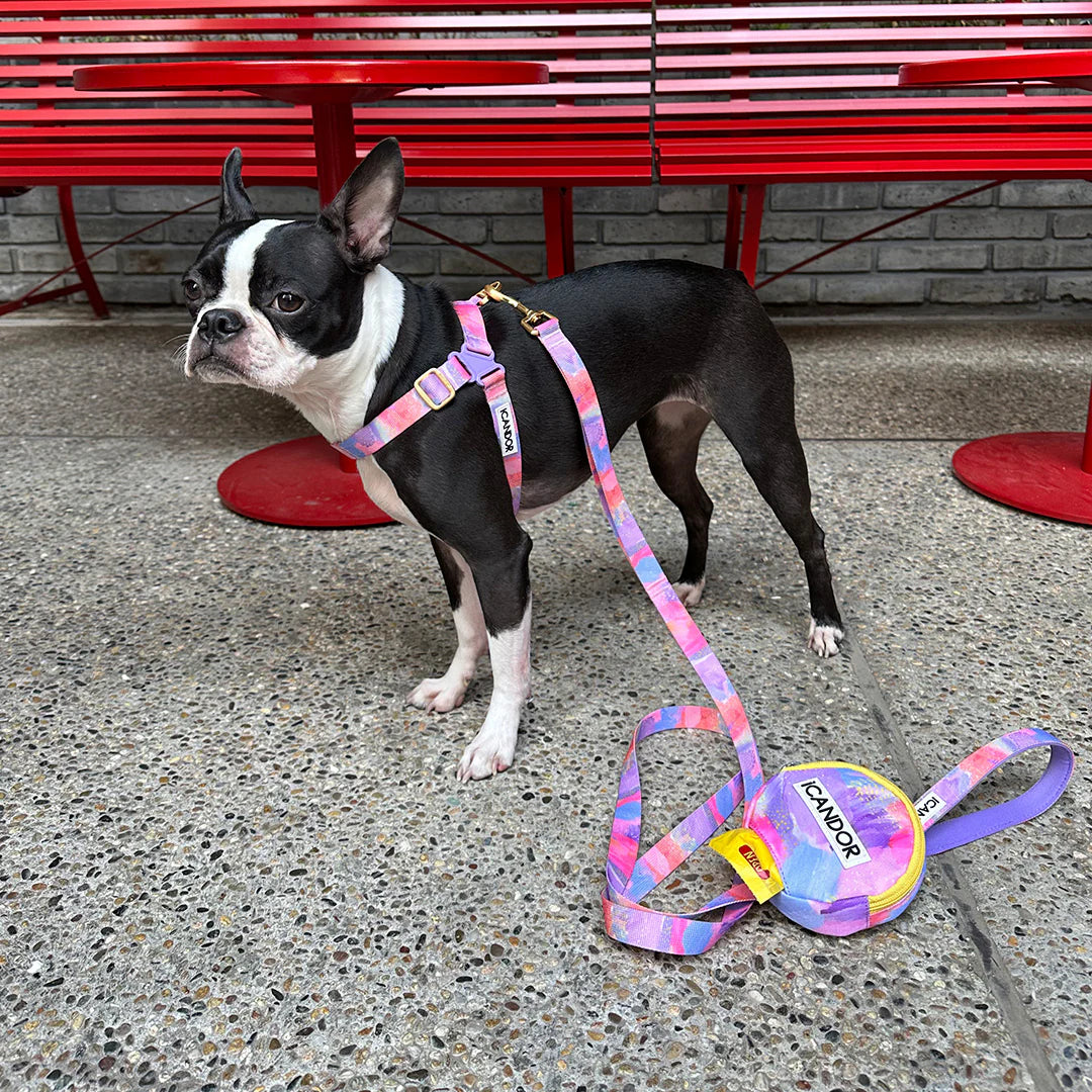 No-Pull Harness | Milky Way