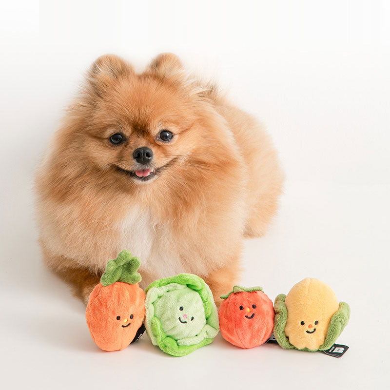 Vegetable Ball Dog Toy (Set of 2)