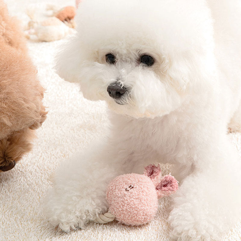 BonBon Green Furry Friends Rope Tug Toy (3 Designs)