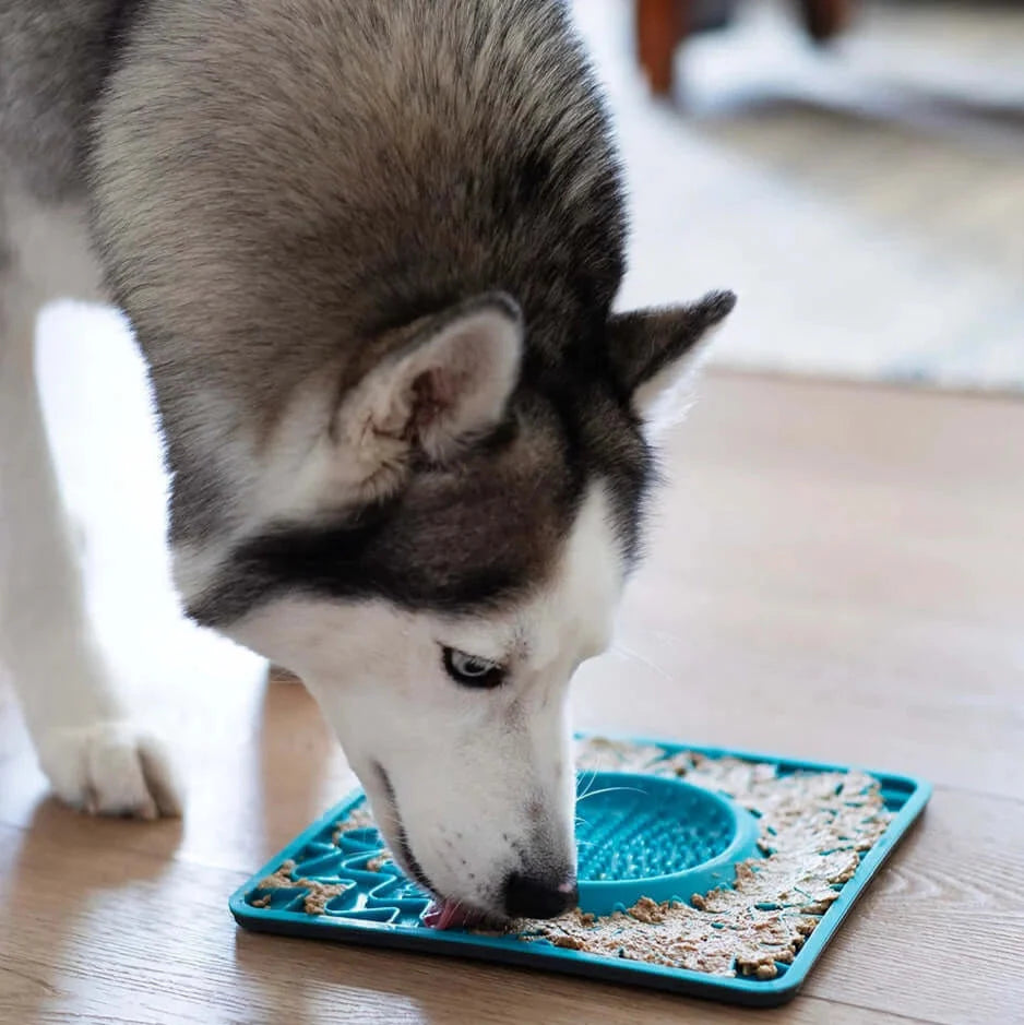 Framed Spill Resistant Enrichment Silicone Dog Lick Bowl Mat