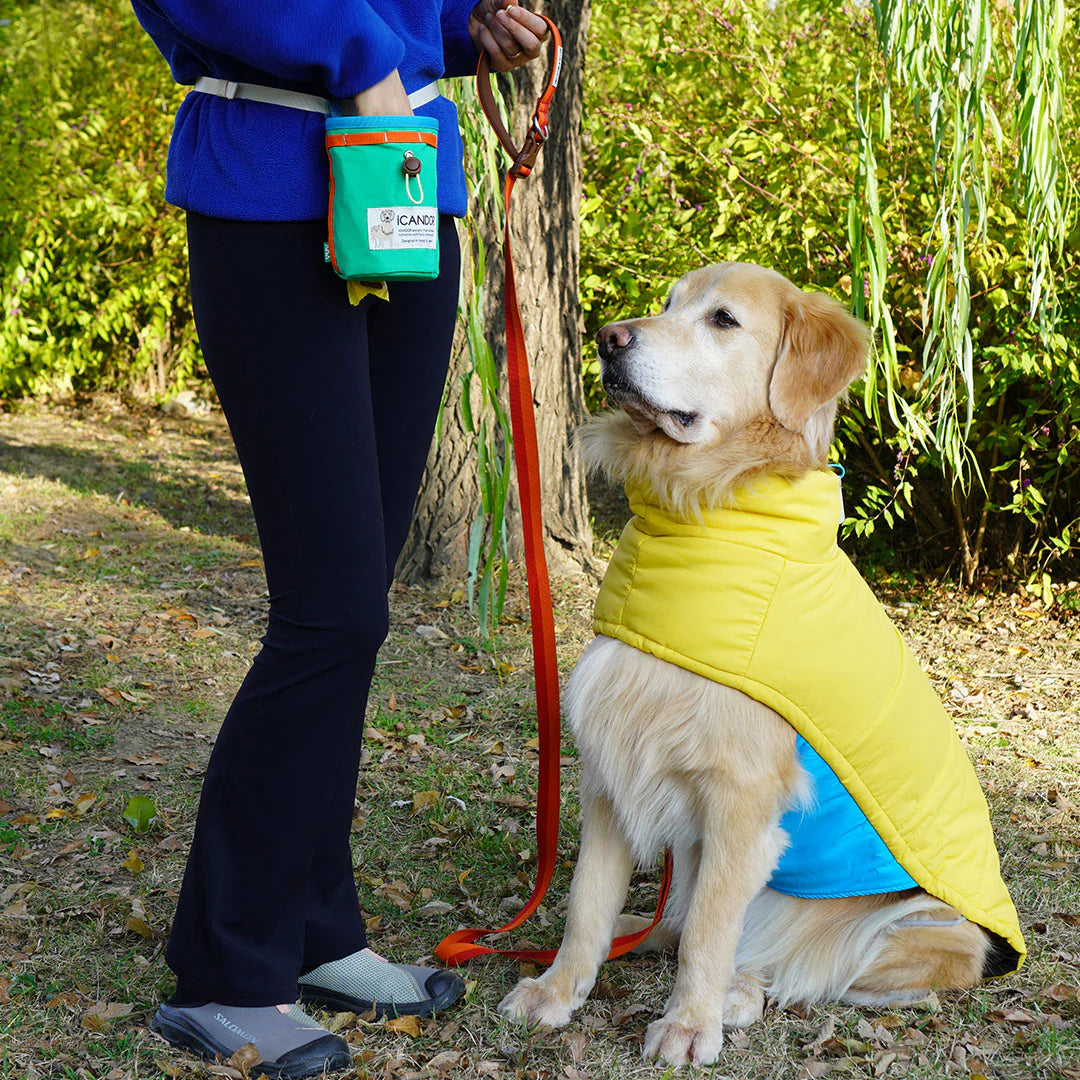 Munchie Minder Dog Treat Bag | Cool Green