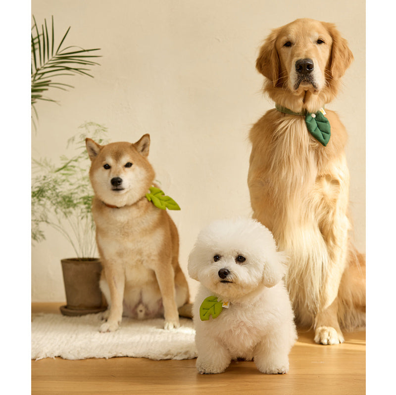 Basic Leaf Pet Collar Clip
