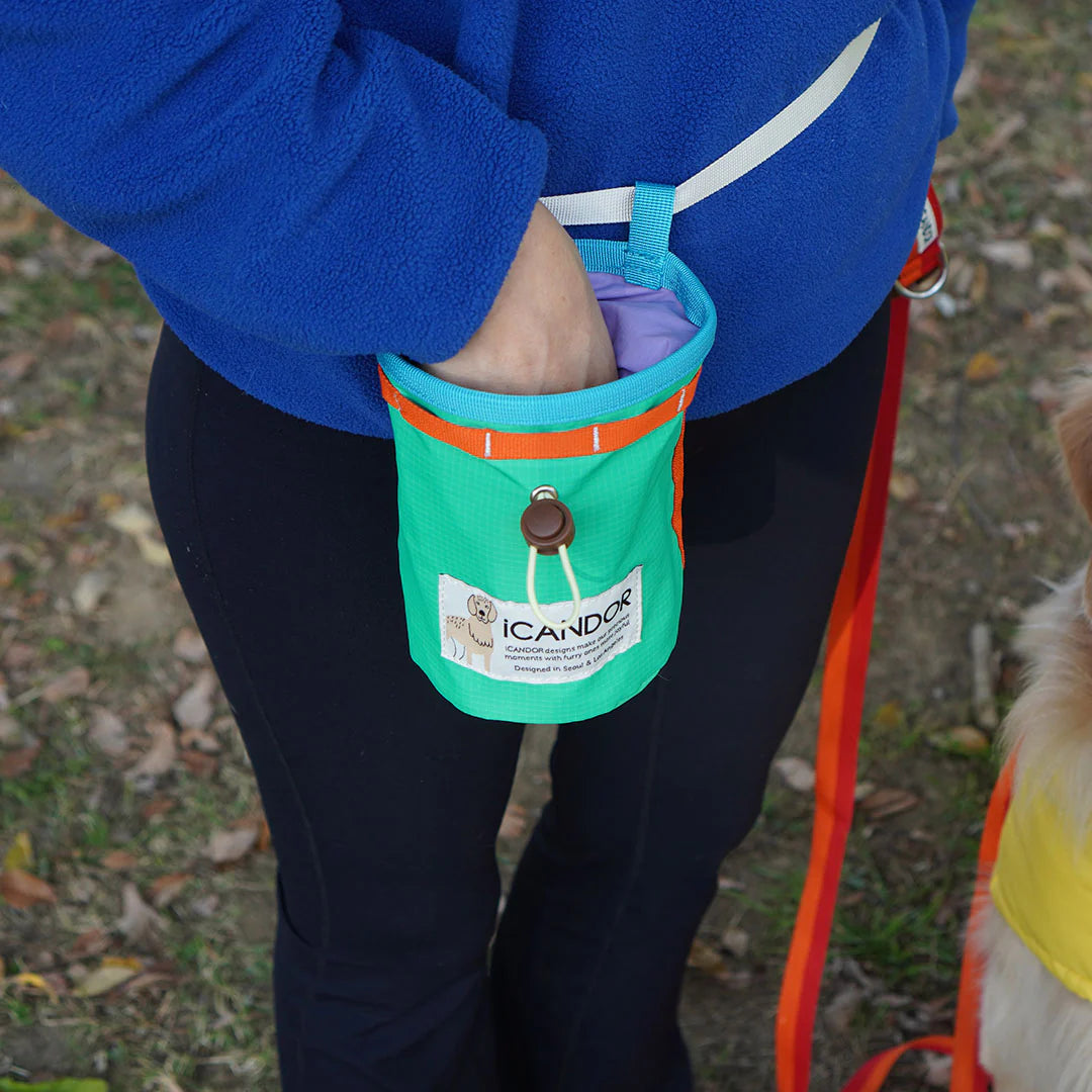 Munchie Minder Dog Treat Bag | Cool Green