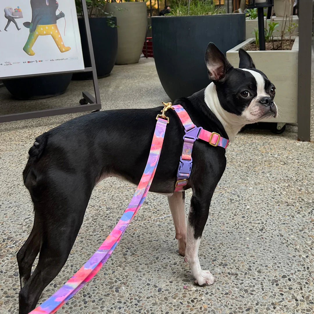 No-Pull Harness | Milky Way