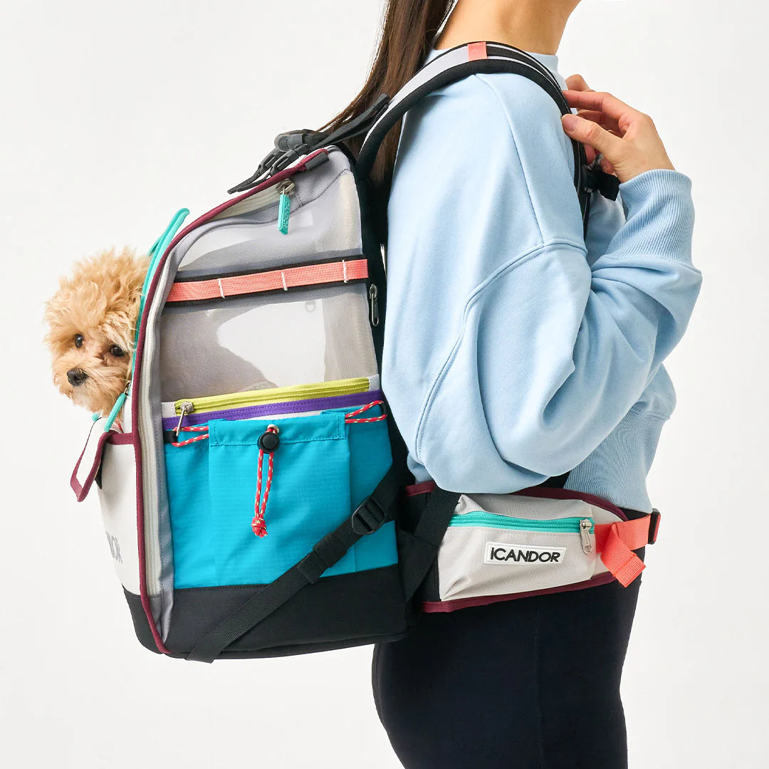 BACKORDER | Jige pet backpack - Misty Grey (2 Sizes)