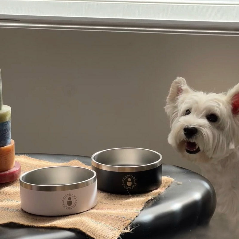Sip & Snack Stainless Steel Pet Bowl (4 Colours)