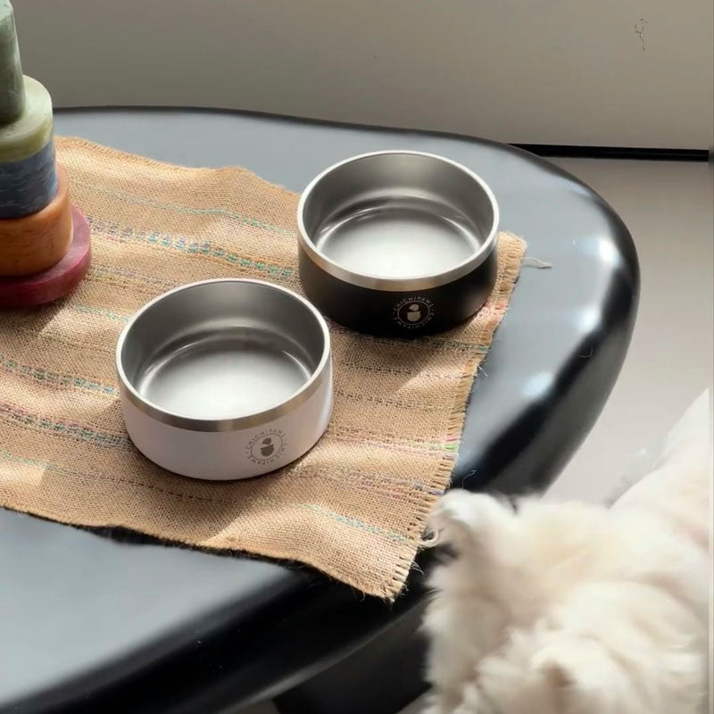 Sip & Snack Stainless Steel Pet Bowl (4 Colours)