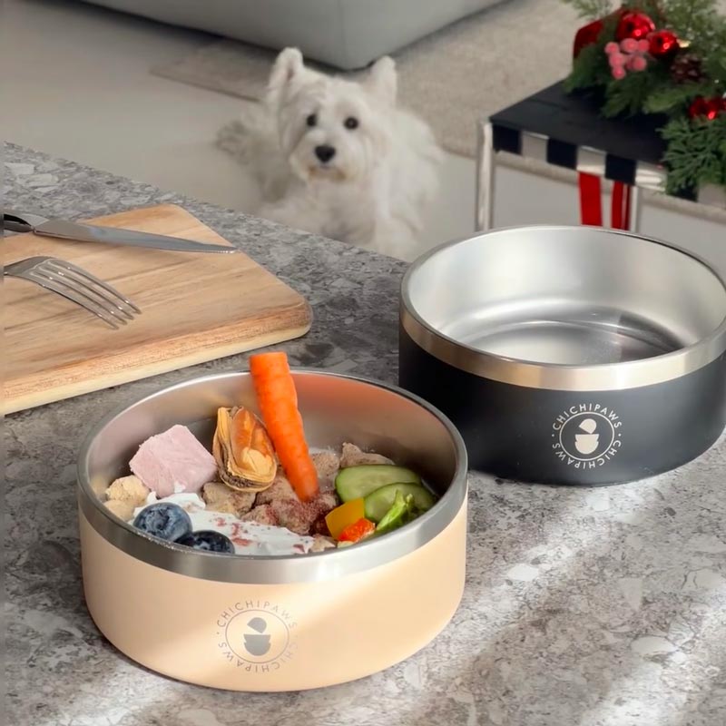 Sip & Snack Stainless Steel Pet Bowl (4 Colours)