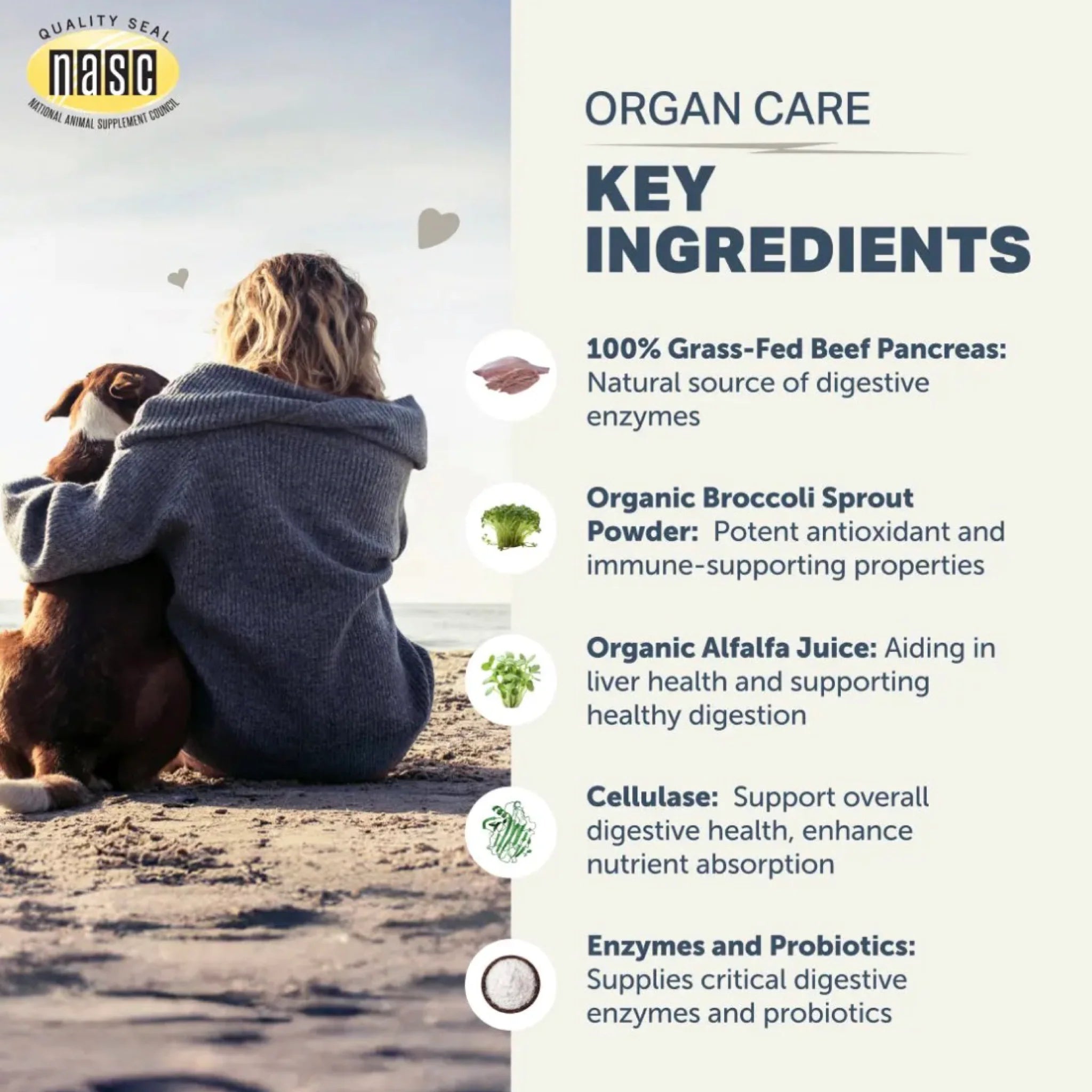 Organ Care | Enzyme Support For Dogs
