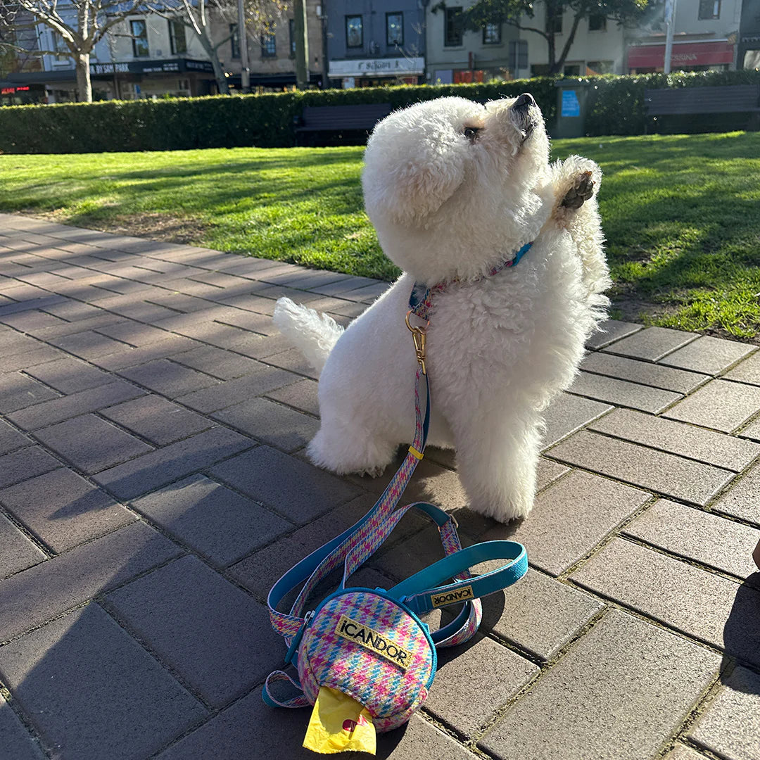 iCandor 3-in-1 Walking Kit: Edinburgh Check