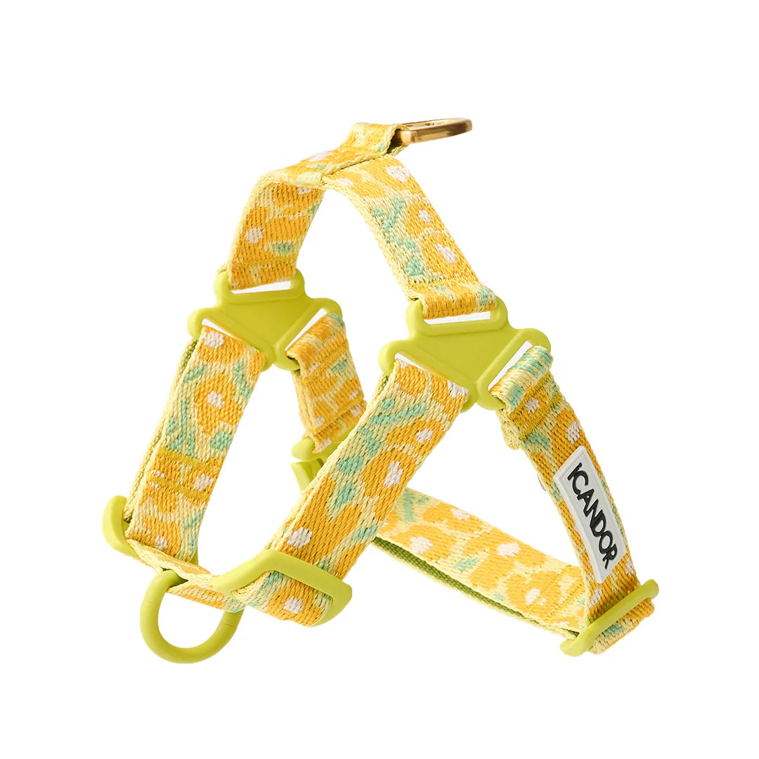 iCandor 3-in-1 Walking Kit: Big Fish Yellow