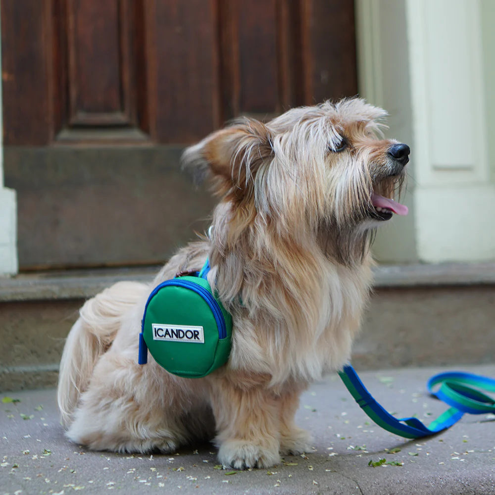 Dingle Dangle Poop Bag Carrier | Forest