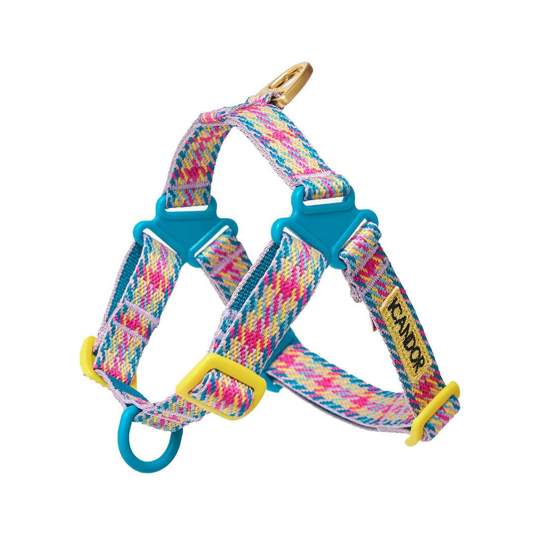 No-Pull Harness | Edinburgh Check