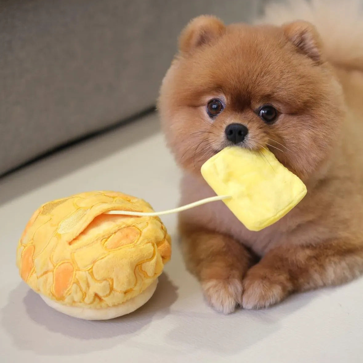 Polo (Pineapple) Bun Nosework Toy