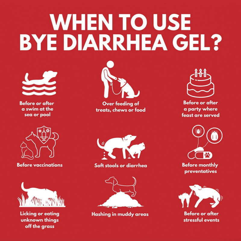 Good Gut Bye Diarrhea Gel For Dog and Cat (15ml)
