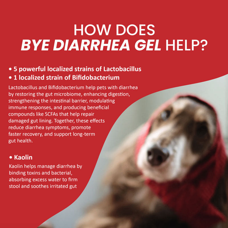 Good Gut Bye Diarrhea Gel For Dog and Cat (15ml)