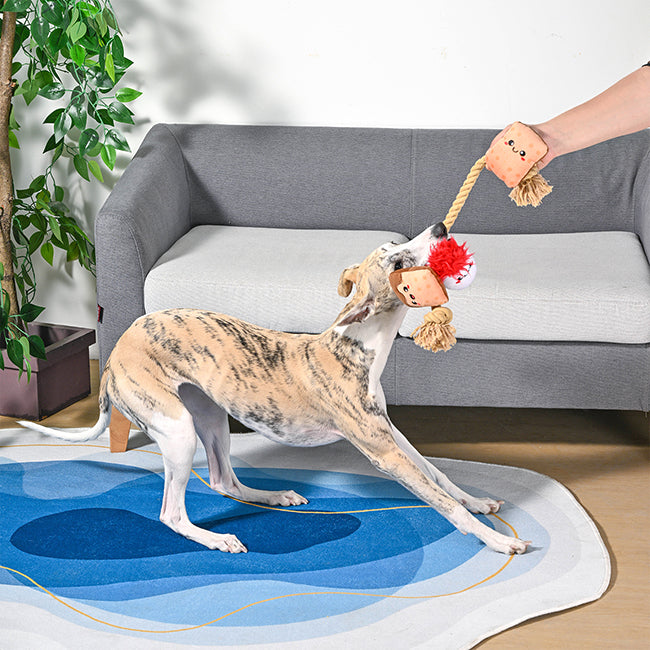 Camping Pups - S'mores Tug Toy