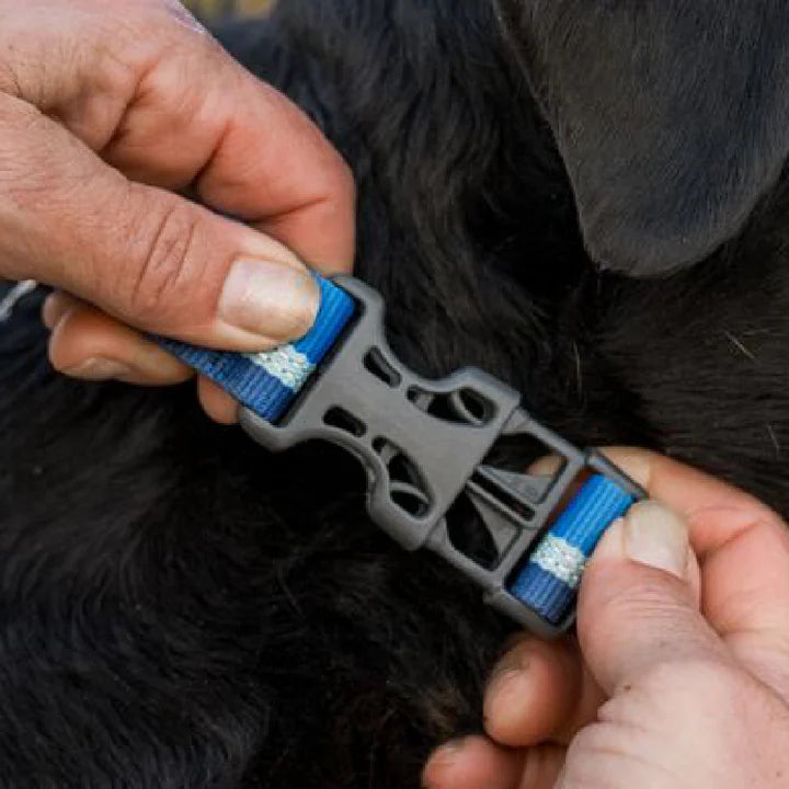 Web Reaction™ Reflective Martingale Dog Collar With Buckle (3 Colours)