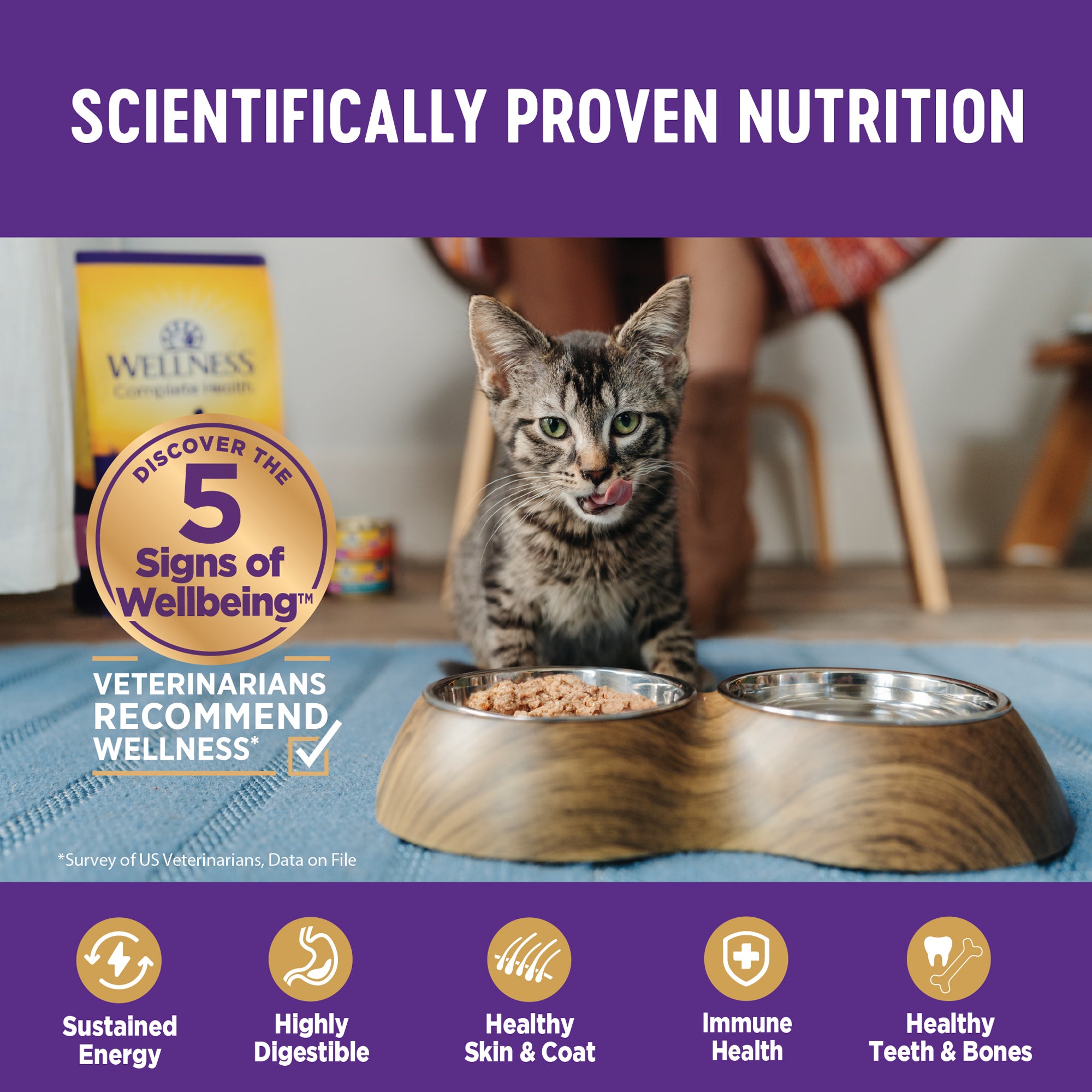 Complete Health™ Minced Wet Cat Food | Tuna Dinner (5.5 oz)