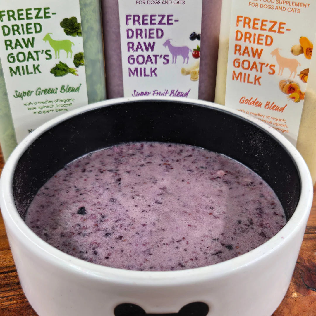Shepard Boy Farms freeze-dried raw goat's milk supplement for pets creatureland
