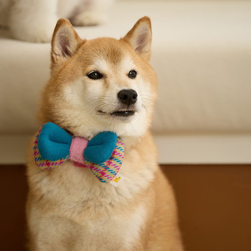 Candy Jellybon Pet Collar Clip (Bow)