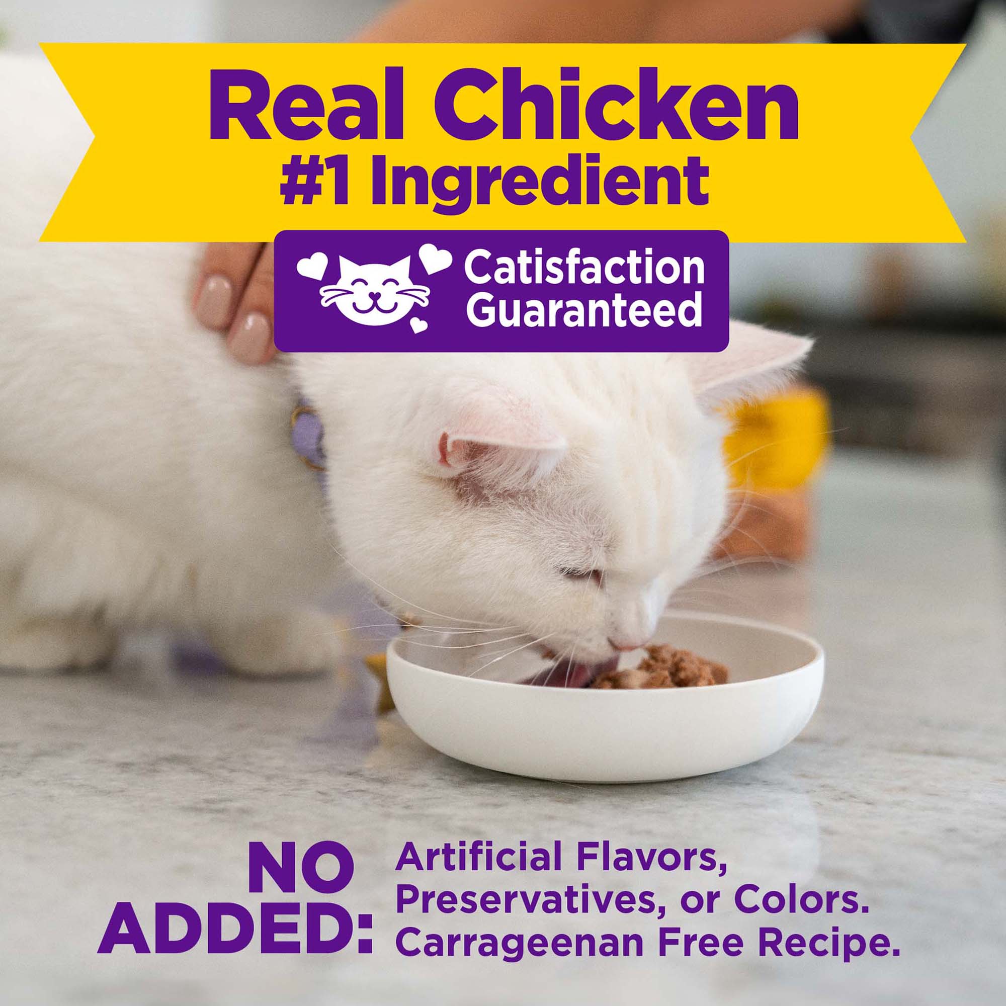 Appetizing Entrees Shredded Chicken Recipe Wet Cat Food (1.4 oz)