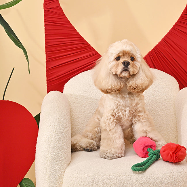 Woof Love – Vday Rose Dog Toy