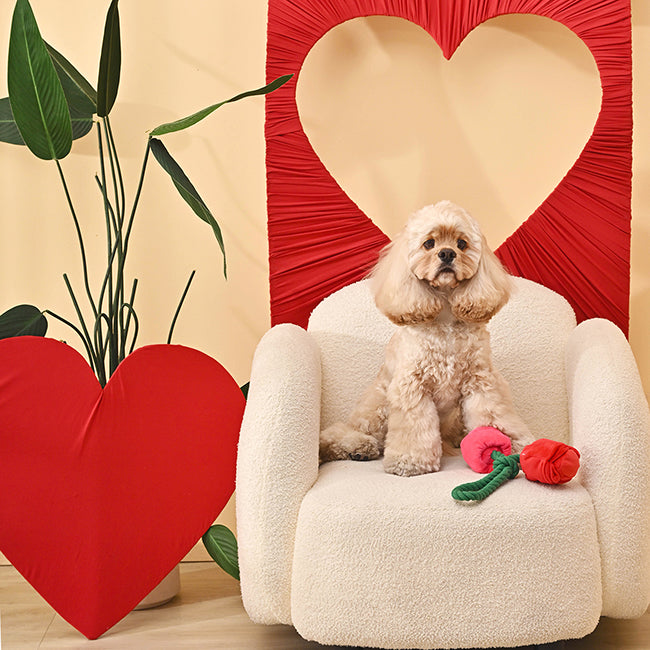 Woof Love – Vday Rose Dog Toy