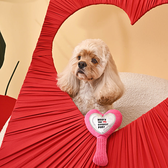 Makeup Collection – Magic Mirror Dog Toy