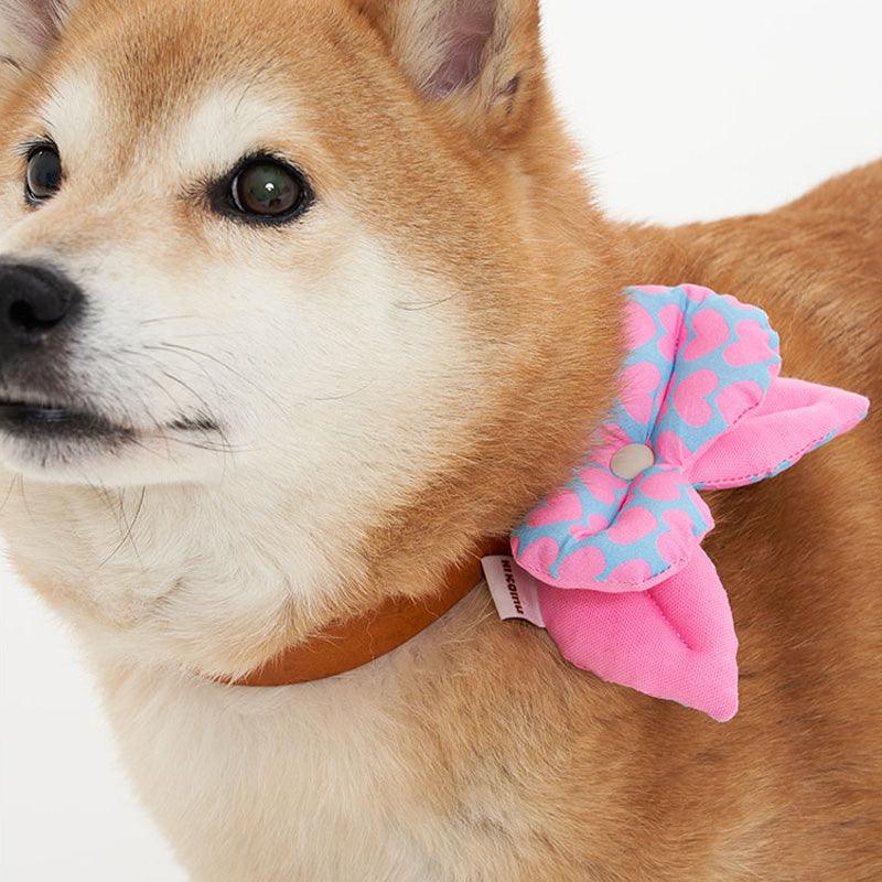 Heart Ribbon Pet Collar Clip