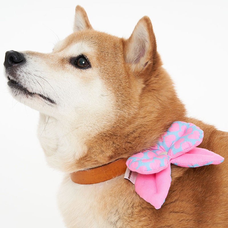 Heart Ribbon Pet Collar Clip