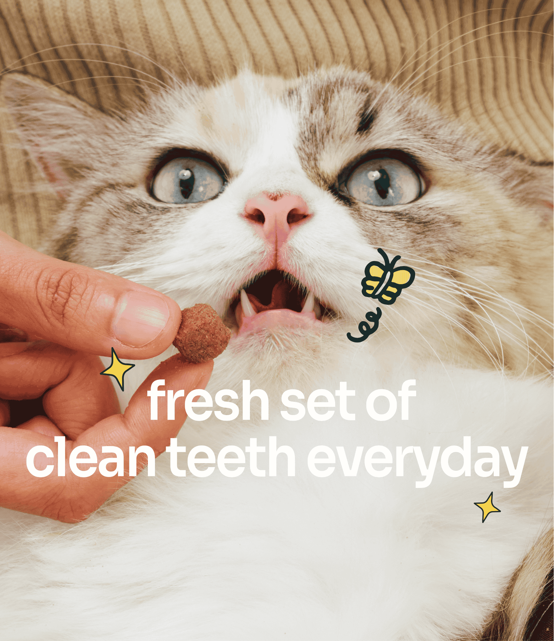 Notti Cat Plaque Control Dental Crunch (80g)