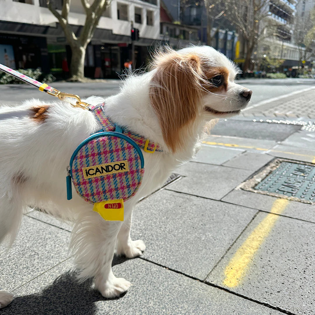 iCandor 3-in-1 Walking Kit: Edinburgh Check