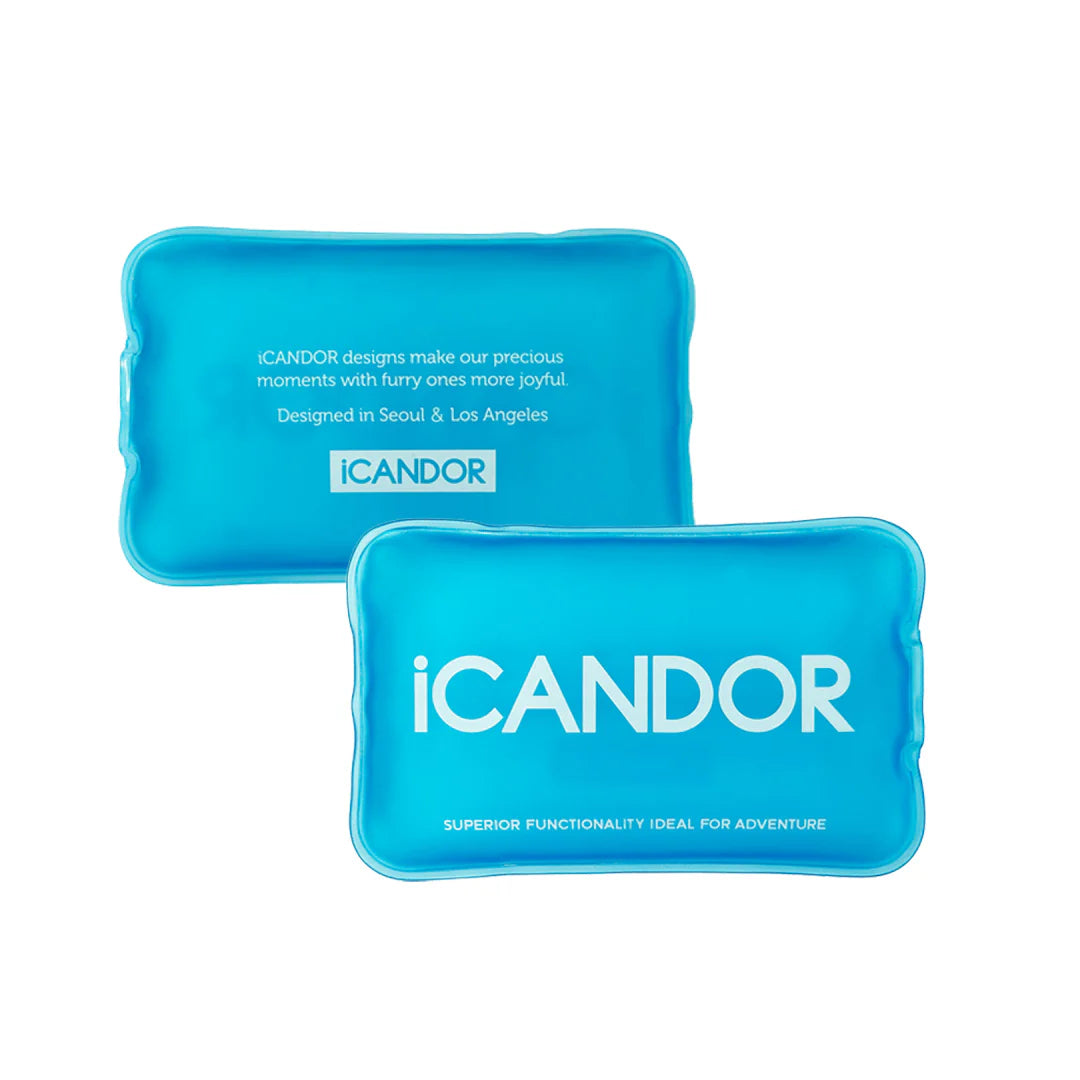 Snow Buddy Ice Pack
