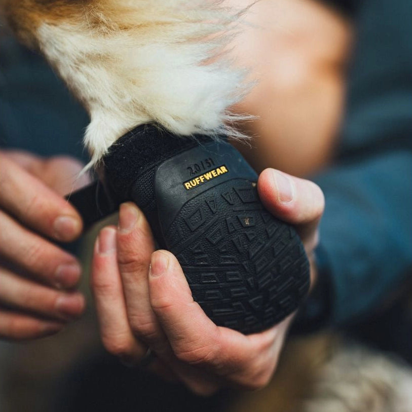 Ridgeline™ Dog Shoes | Obsidian Black