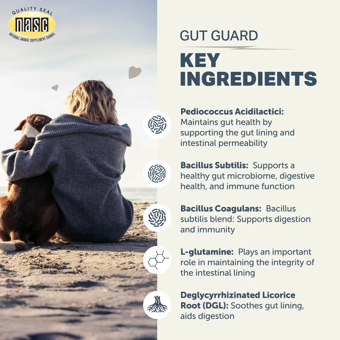 Gut Guard | Irritated, Leaky Guts