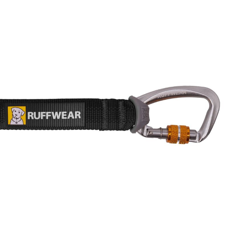 Rogue™ Long Line Dog Training Leash