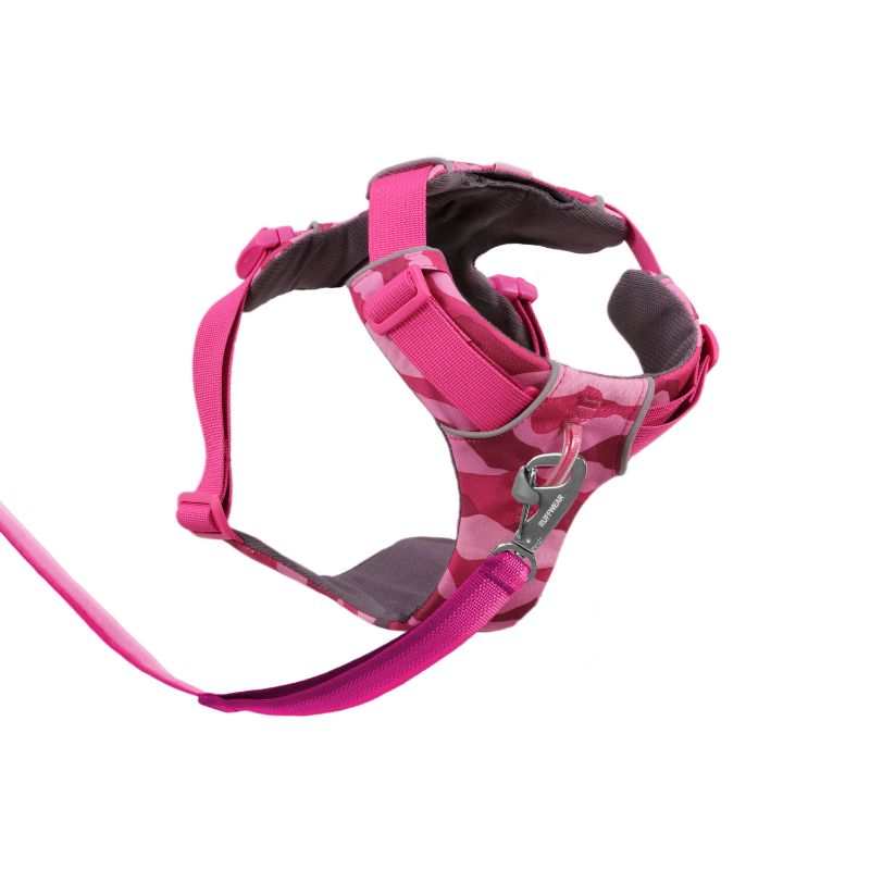 Front Range® No-Pull Padded Dog Harness