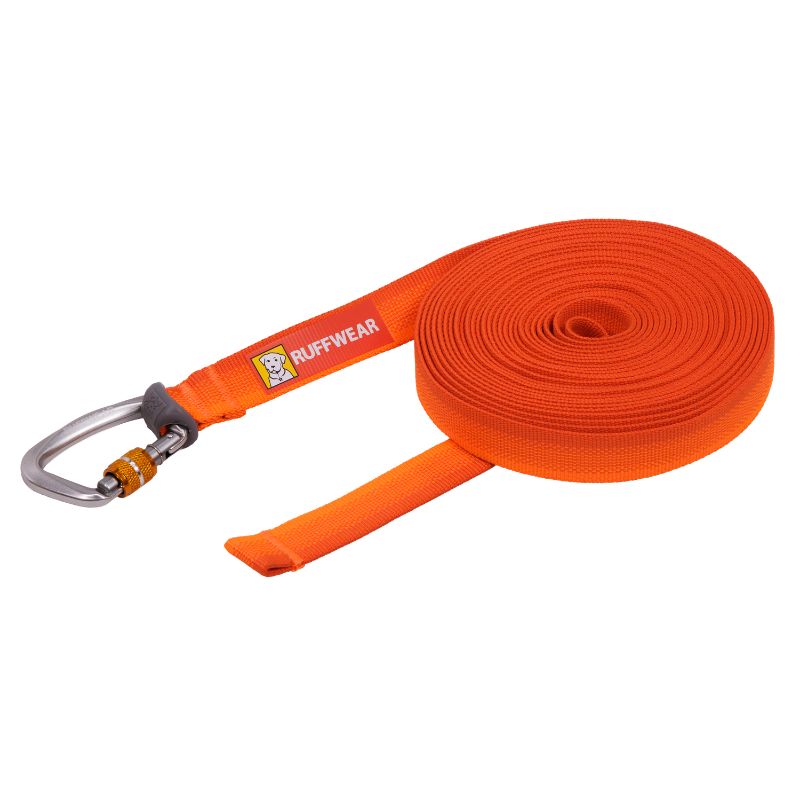 Rogue™ Long Line Dog Training Leash