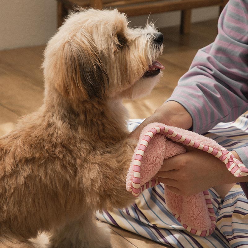 Bite Me x FINCA Dry Me Microfibre Pet Towel in Pink (2 Sizes)